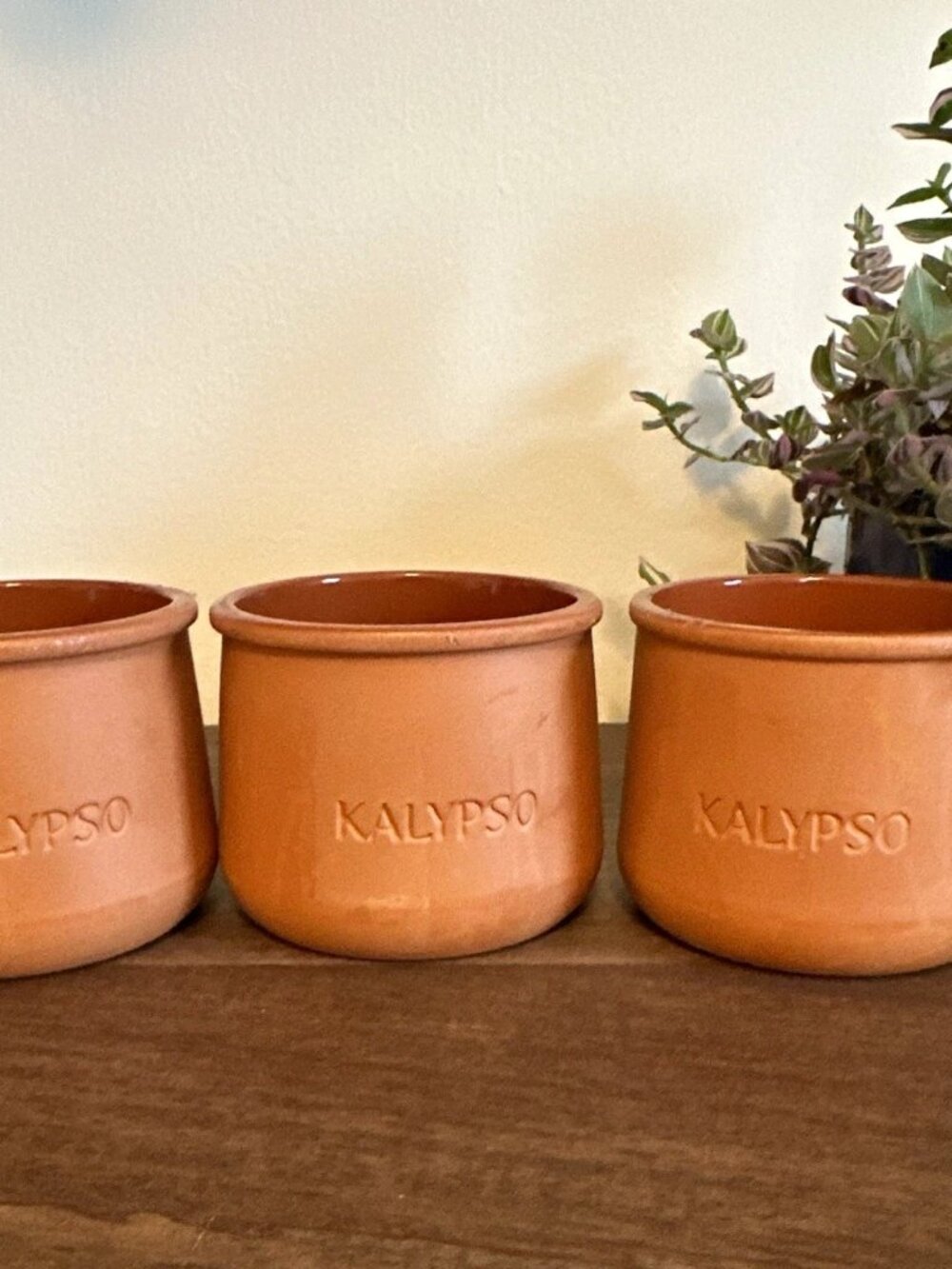 Kalypso Brown Terracotta Ceramic Bowls Set of 3